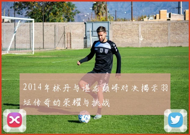 2014年林丹与谌龙巅峰对决揭示羽坛传奇的荣耀与挑战